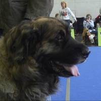 Salzburg Clubschau Mai 06 077